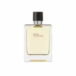 Hermes Terre D'Hermes Eau De Toilette Spray 100ml