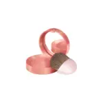 Bourjois Fard Blush Joues 16-Rose Coup 2,5g