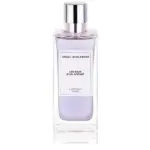 Angel Schlesser Les Eaux D´Un Instant Luminous Violet Eau De Toilette Spray 100ml